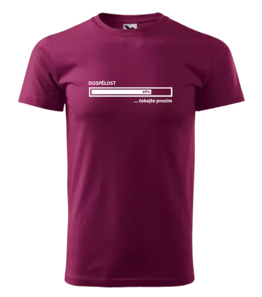Pánské tričko Dospělost - čekejte prosím