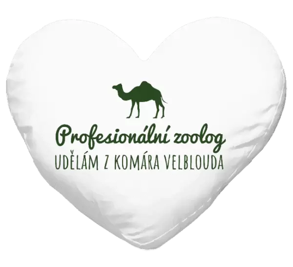 Polštář Profesionální zoolog - Udělám z komára velblouda