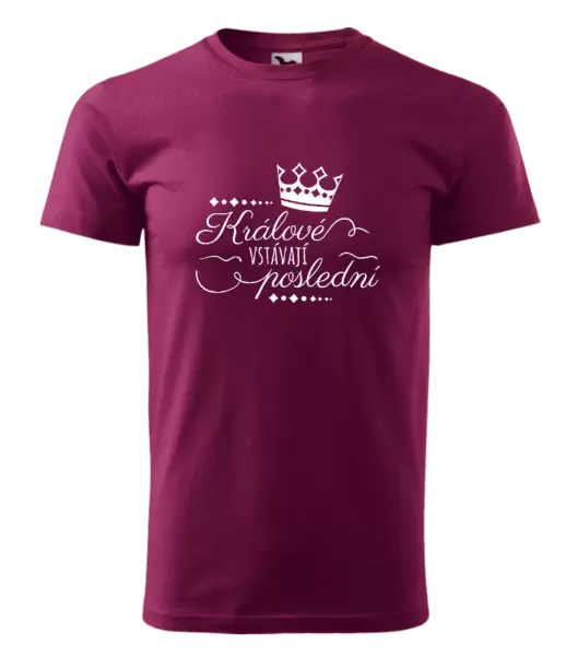 Pánské tričko Králové vstávají poslední