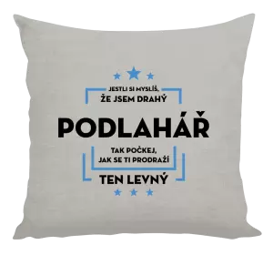 Polštář Jestli si myslíš, že jsem drahý  - podlahář
