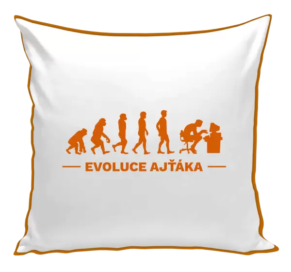 Polštář Evoluce - IT specialista
