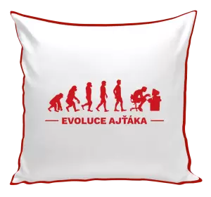Polštář Evoluce - IT specialista