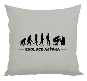 Polštář Evoluce - IT specialista