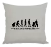Polštář Evoluce - popelář