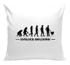Polštář Evoluce - grilování