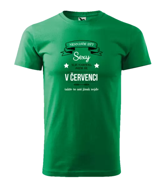 Pánské narozeninové tričko Nesnáším být sexy, ale narodil jsem se v ...