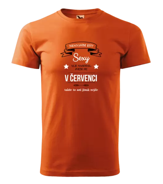 Pánské narozeninové tričko Nesnáším být sexy, ale narodil jsem se v ...