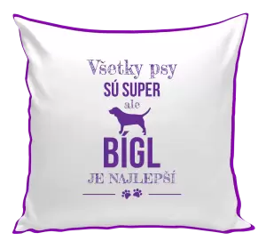 Vankúš Bígl je najlepší