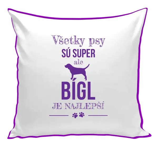 Vankúš Bígl je najlepší