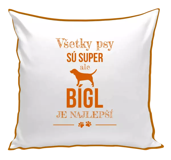 Vankúš Bígl je najlepší