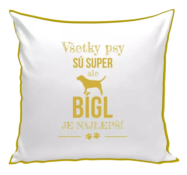 Vankúš Bígl je najlepší