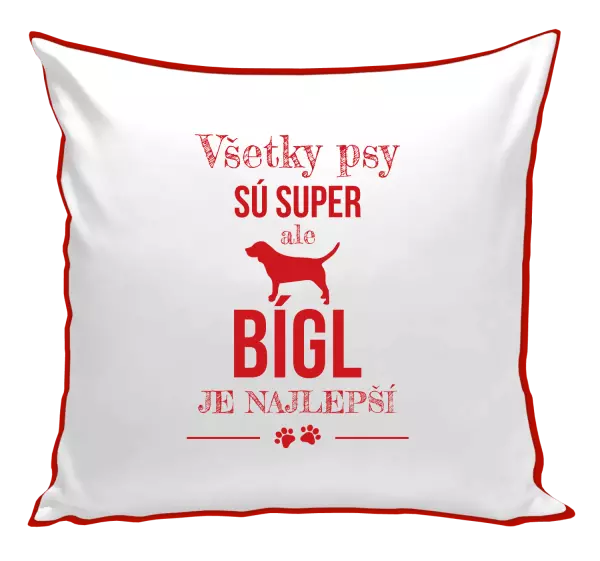 Vankúš Bígl je najlepší