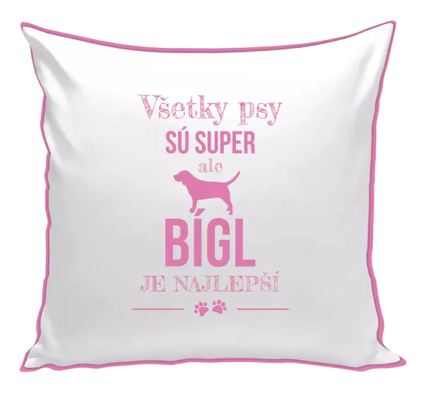 Vankúš Bígl je najlepší