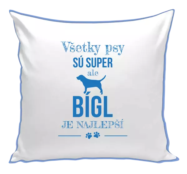 Vankúš Bígl je najlepší
