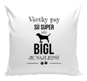 Vankúš Bígl je najlepší