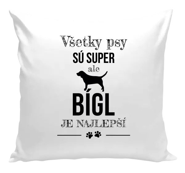 Vankúš Bígl je najlepší