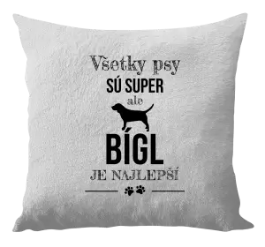 Vankúš Bígl je najlepší