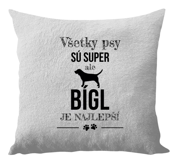 Vankúš Bígl je najlepší