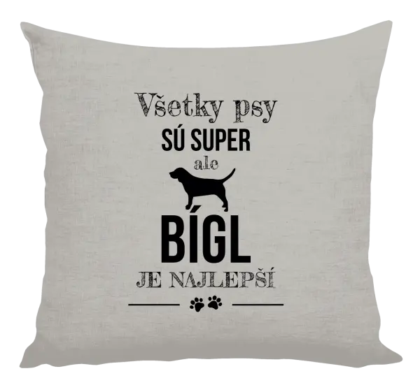 Vankúš Bígl je najlepší