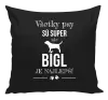 Vankúš Bígl je najlepší