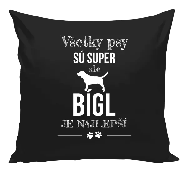 Vankúš Bígl je najlepší