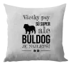 Vankúš Buldog je najlepší
