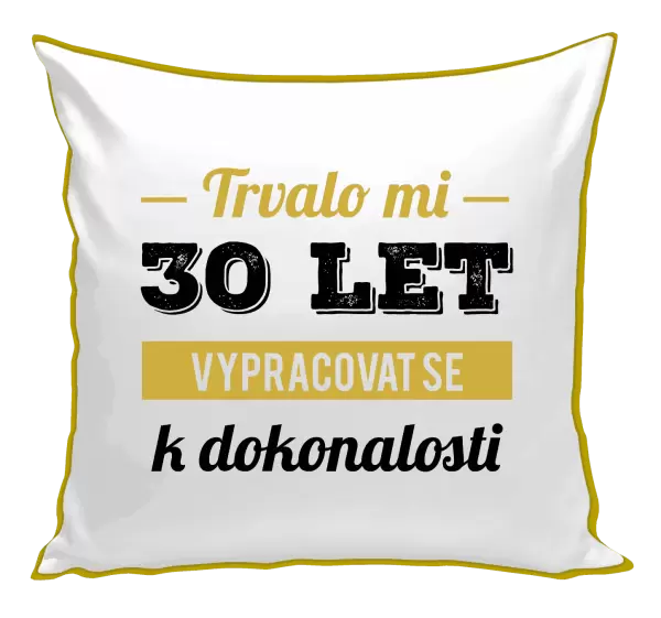 Polštář Trvalo mi x let vypracovat se k dokonalosti