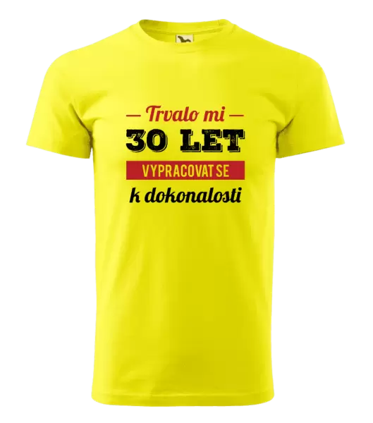 Pánské narozeninové tričko Trvalo mi x let vypracovat se k dokonalosti