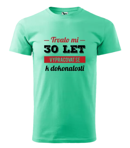 Pánské narozeninové tričko Trvalo mi x let vypracovat se k dokonalosti