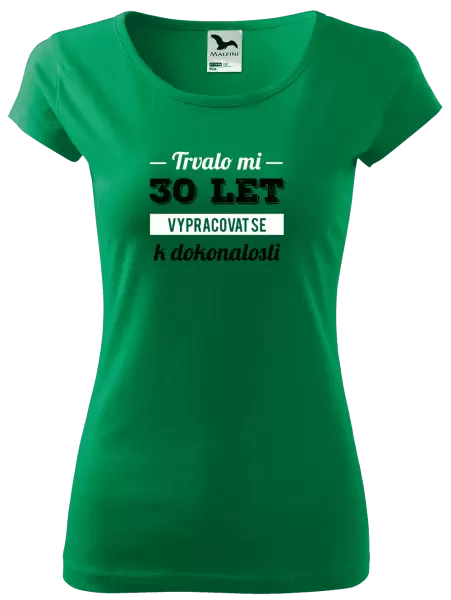 Dámské tričko Trvalo mi x let vypracovat se k dokonalosti