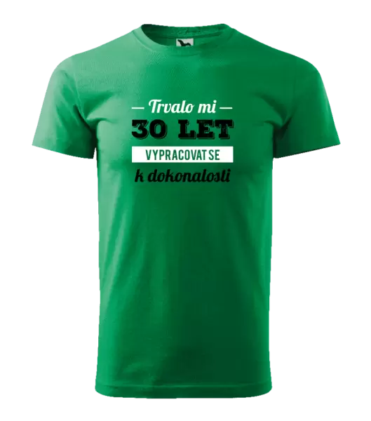 Pánské narozeninové tričko Trvalo mi x let vypracovat se k dokonalosti