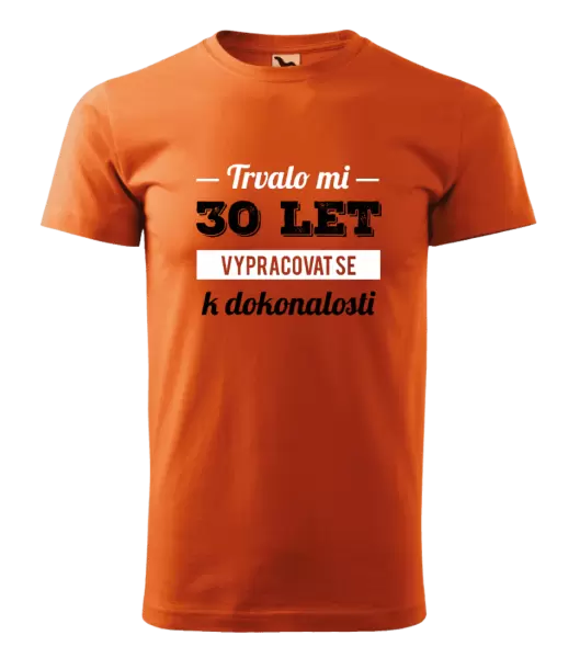 Pánské narozeninové tričko Trvalo mi x let vypracovat se k dokonalosti