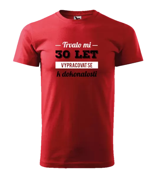 Pánské narozeninové tričko Trvalo mi x let vypracovat se k dokonalosti