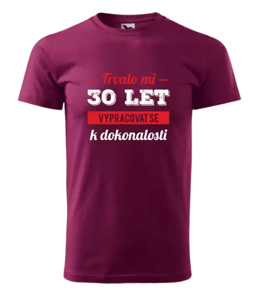 Pánské narozeninové tričko Trvalo mi x let vypracovat se k dokonalosti