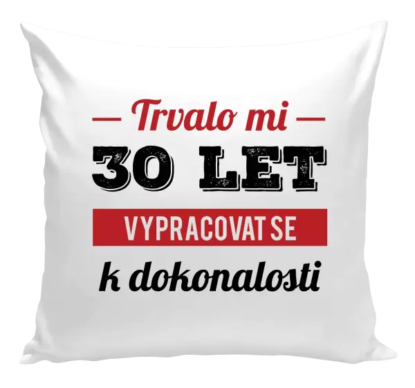 Polštář Trvalo mi x let vypracovat se k dokonalosti