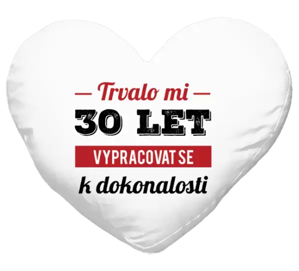 Polštář Trvalo mi x let vypracovat se k dokonalosti