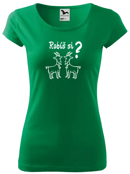 Dámske tričko Robíš si kozy? 