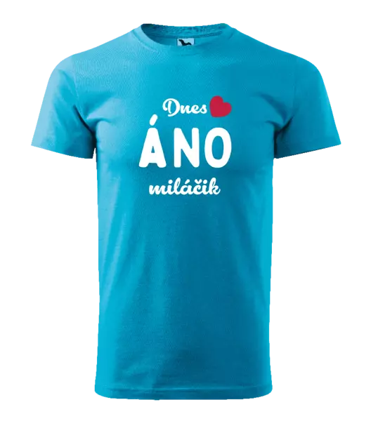 Pánske tričko Dnes ÁNO miláčik