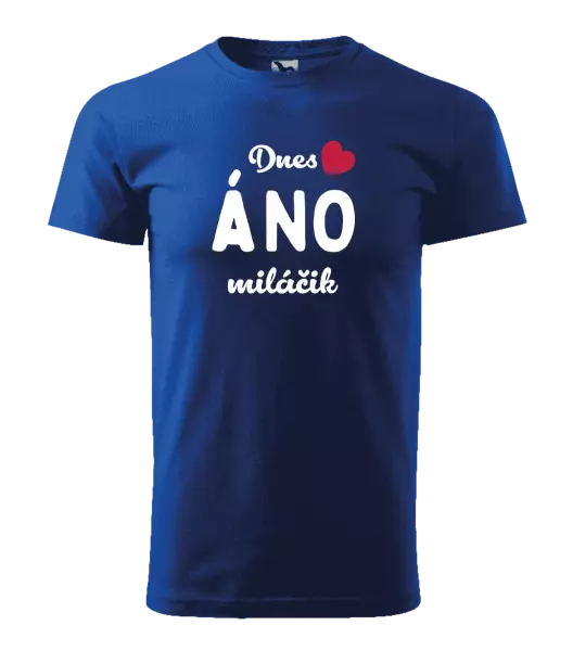 Pánske tričko Dnes ÁNO miláčik