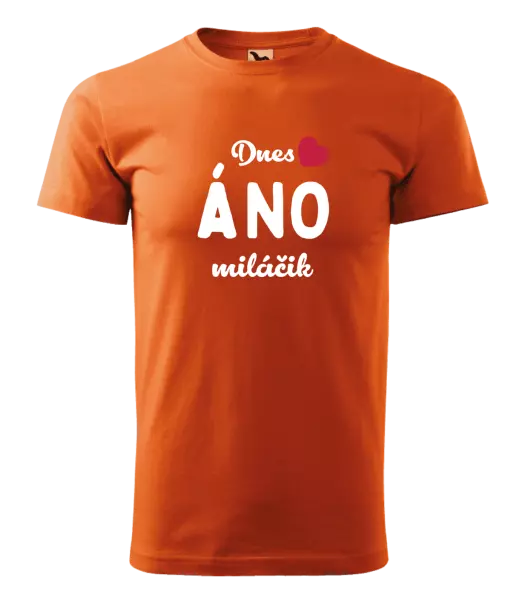 Pánske tričko Dnes ÁNO miláčik