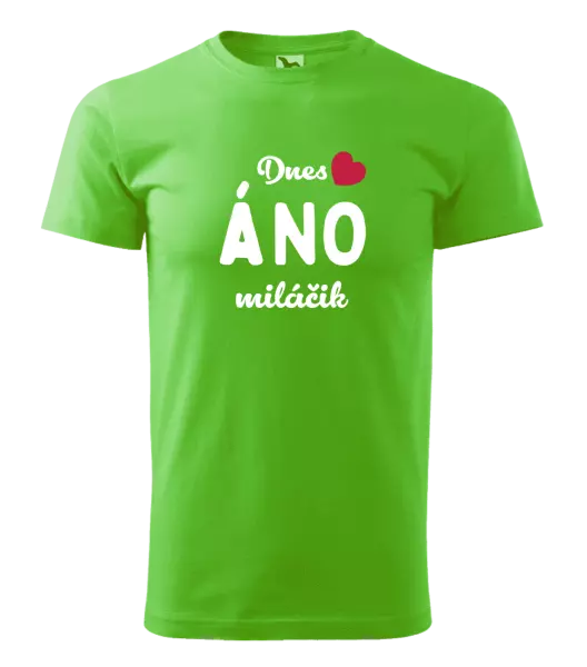 Pánske tričko Dnes ÁNO miláčik