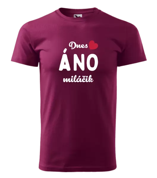 Pánske tričko Dnes ÁNO miláčik