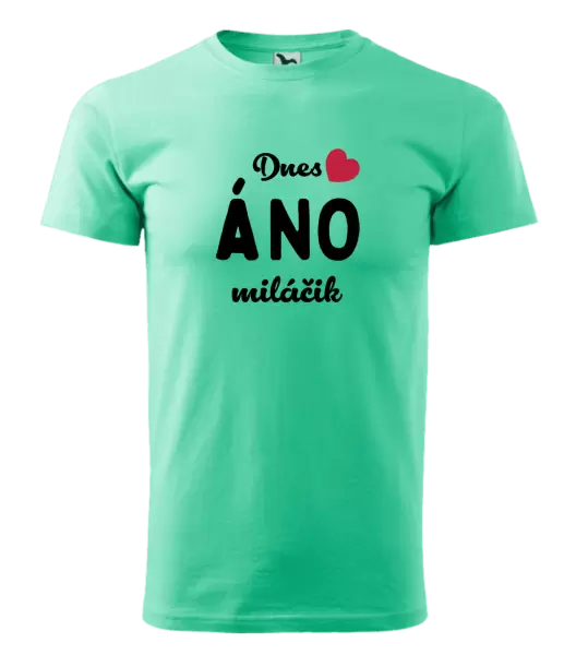 Pánske tričko Dnes ÁNO miláčik