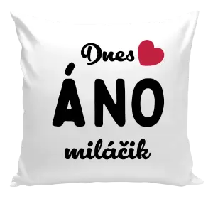 Vankúš Dnes ÁNO miláčik
