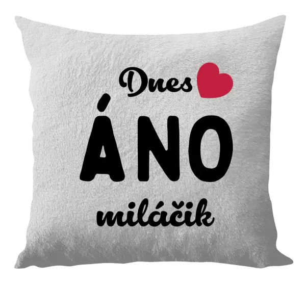 Vankúš Dnes ÁNO miláčik