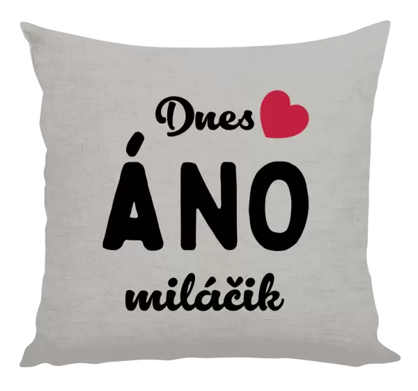 Vankúš Dnes ÁNO miláčik