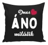 Vankúš Dnes ÁNO miláčik