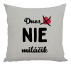 Vankúš Dnes NIE miláčik