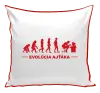 Vankúš Evolúcia - IT špecialistov