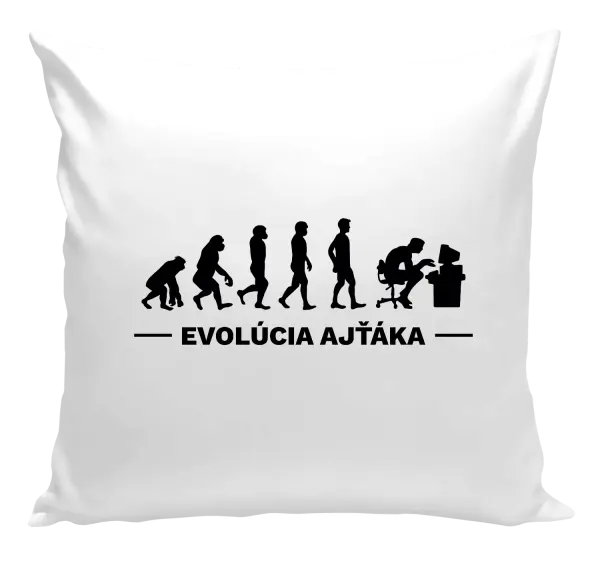 Vankúš Evolúcia - IT špecialistov